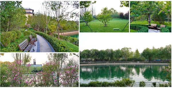 探店北京環球影城諾金酒店!房價接近三千元,一般人住不起 探店北京環球影城諾金酒店!房價接近三千元,一般人住不起