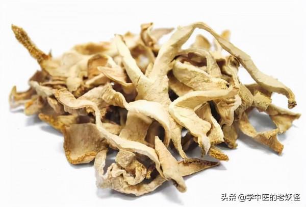 每日學習一味中藥——佛手