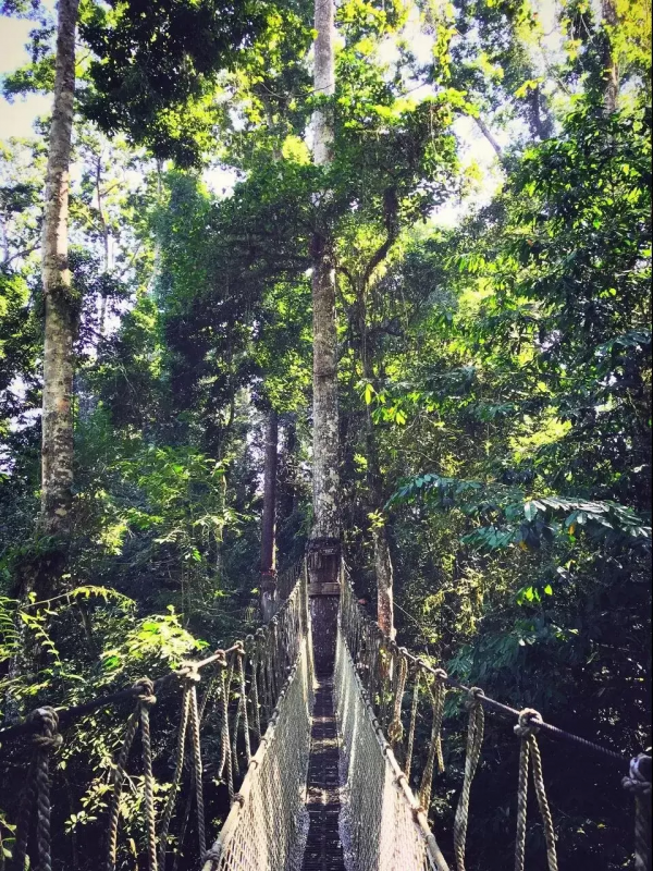 旅行，遇見更好的自己！2022年的第一場旅行，你會去哪裡？