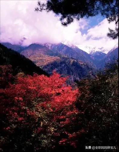 分享——令人迷幻的九寨溝