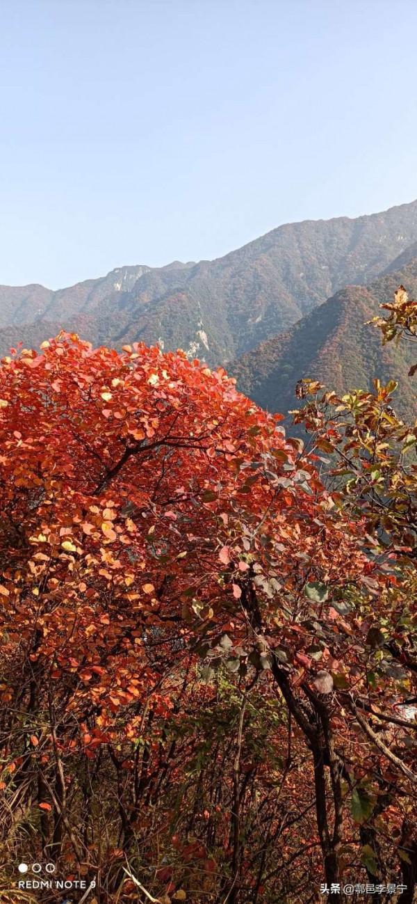 題陝西省西安市鄠邑區風景名勝圭峰山楹聯 文圖/李景寧 寒陽子