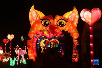 比利時：&OpenCurlyDoubleQuote;中國花燈&rdquo;攜手&OpenCurlyDoubleQuote;歐洲童話&rdquo;「圖」