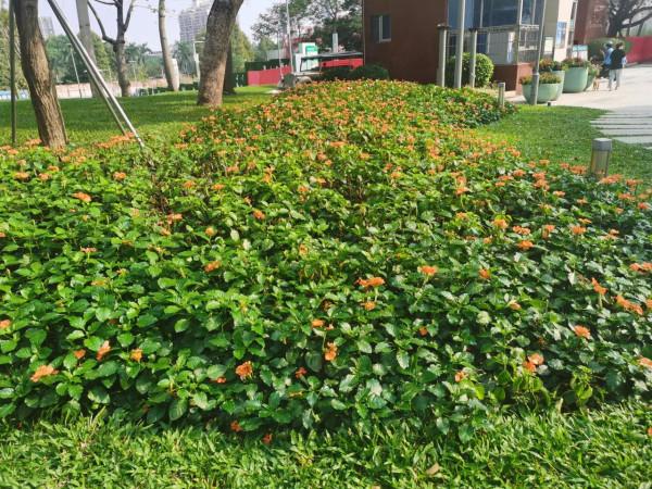 弟弟問我借錢還高利貸,我到底該不該借? 弟弟問我借錢還高利貸,我到底該不該借?