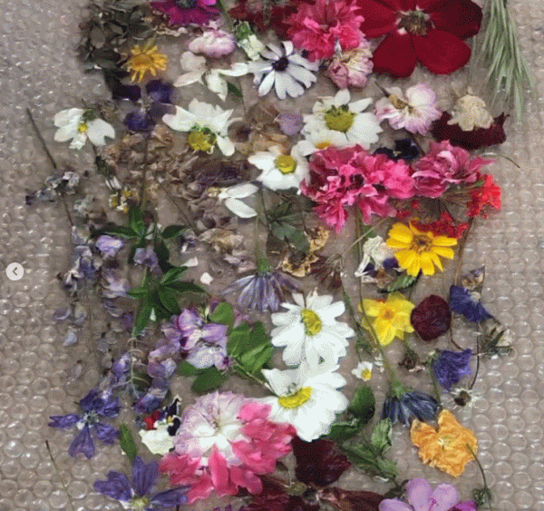 土耳其媽媽曬7歲女兒cos照爆火ins，網友：哈哈哈哈簡直是神還原