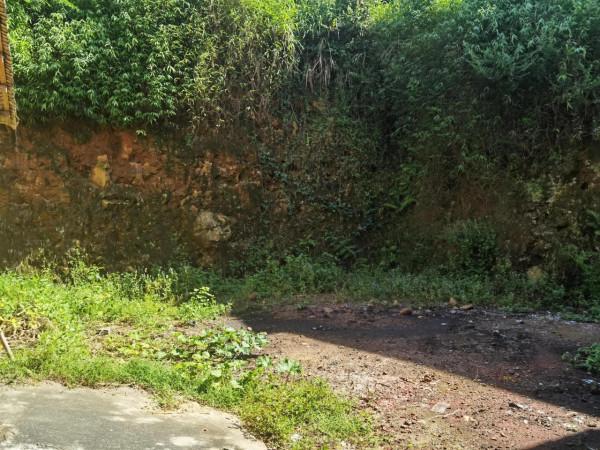 清朝道光十八年的瓷碗,竟然出現在廣西博白大車坪 清朝道光十八年的瓷碗,竟然出現在廣西博白大車坪