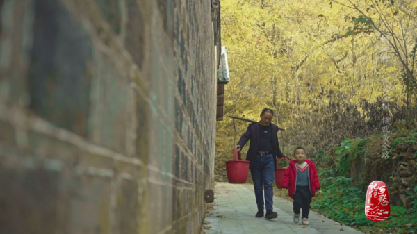 銀杏樹下的生活什麼樣？來&OpenCurlyDoubleQuote;中華銀杏第一村&rdquo;瞧瞧