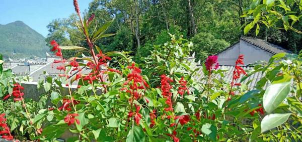 七絕 中秋月圓明