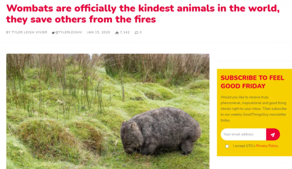 這個澳洲土肥圓紅了！靠拉粑粑和賣萌圈粉眾多，卻發現原來是社恐