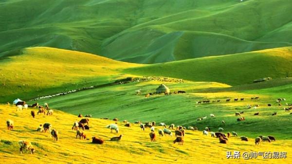 空中草原“那拉提”，讓我“美”哭了