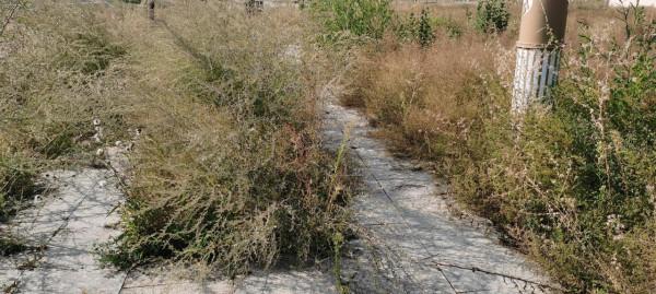 呼和塔拉內蒙古少數民族群眾文化體育運動中心,秋季景色如何呢? 呼和塔拉內蒙古少數民族群眾文化體育運動中心,秋季景色如何呢?