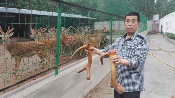 農村創業需謹慎，陸續出現新騙局，4個專案儘量不要參與