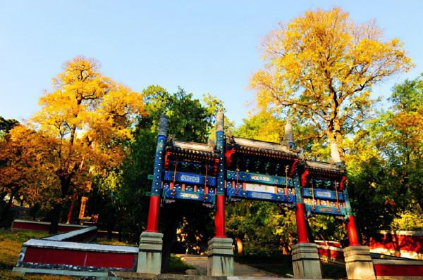 中國賞秋第一聖地：香山。是否名副其實？