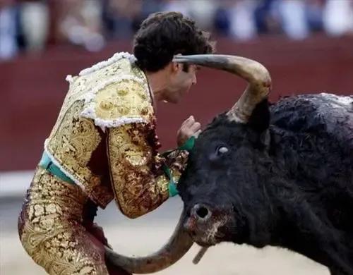 為啥西班牙人，總是跟牛過不去？哪怕被撞飛，也要鬥上一鬥