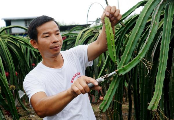 說出一部電視劇,證明你已經不年輕了?趣談 說出一部電視劇,證明你已經不年輕了?趣談
