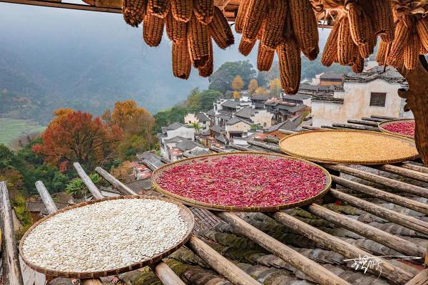 盤點南方各省區經典的賞秋地 盤點南方各省區經典的賞秋地