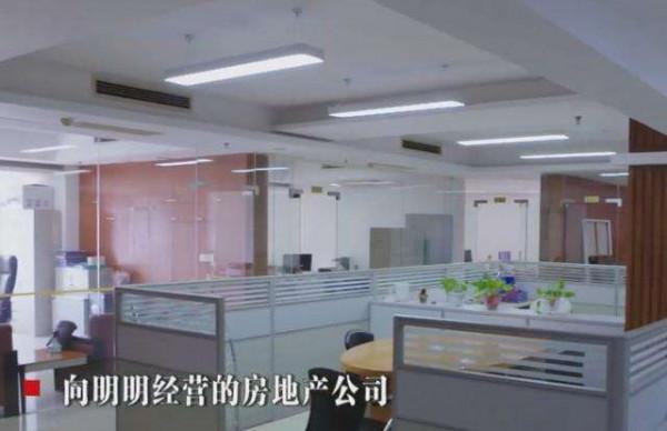 向力力落馬記：2000萬元建豪華山莊，清官父親死都不進