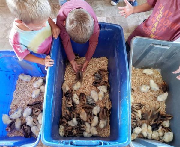 想成為電影裡的大家庭,美國夫妻12年生12個娃!每天生活無比熱鬧 想成為電影裡的大家庭,美國夫妻12年生12個娃!每天生活無比熱鬧