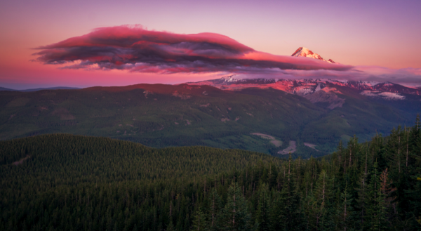 對於生活，不喜歡回頭，也不願將就的星座，為了夢想而活出真我