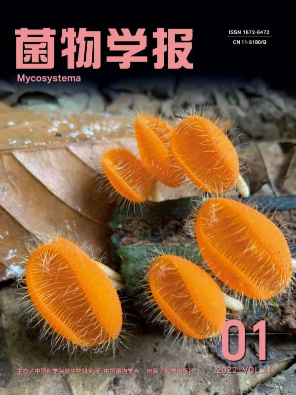 首都師範大學侯成林課題組發現地星屬2個新種