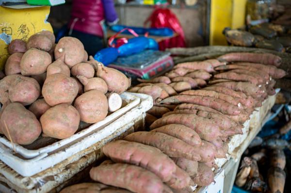 南沙十九湧漁人碼頭，週末好去處，海鮮和特產是否真便宜呢？