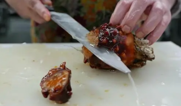 “反向進化”吃掉自己大腦，想變植物卻成食物的動物，不走尋常路