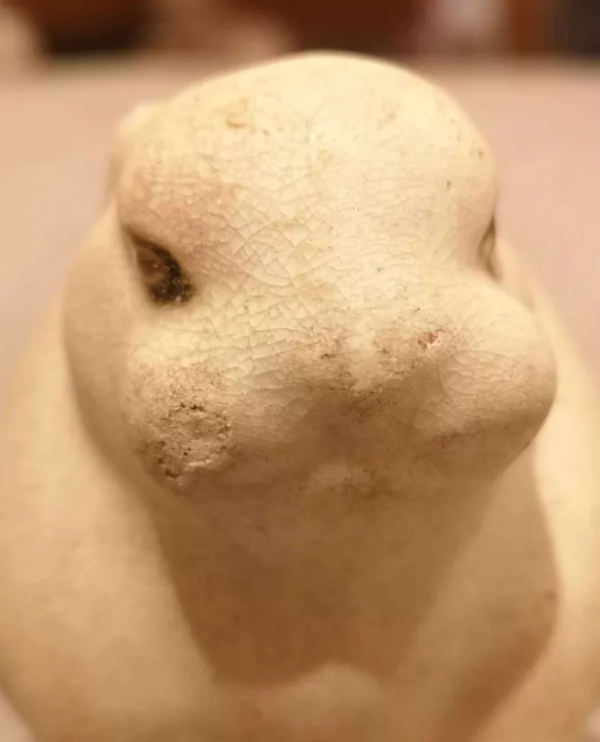 130萬的碗、200多萬的兔子、5700萬的恐龍，哪個才是最大的黑馬？