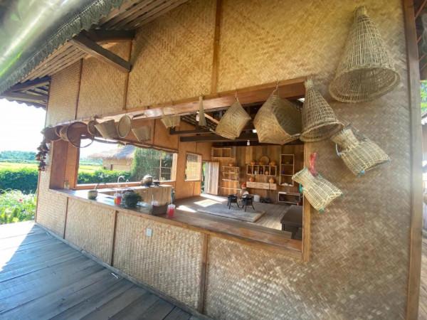 嚮往的生活5蘑菇屋現狀，圖書館被廢棄，屋裡一片狼藉，木屋發黴