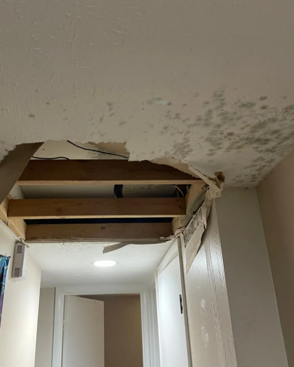 美國豪華學生公寓天花板直接一個洞?!竟是如此“奢華” 美國豪華學生公寓天花板直接一個洞?!竟是如此“奢華”