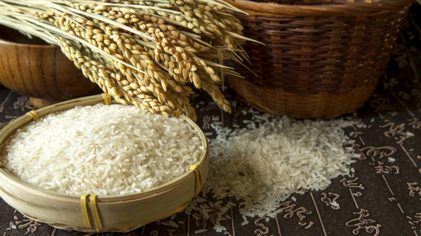 三星帝國到底有多強？美國把華為視為眼中釘，卻能容忍三星的存在