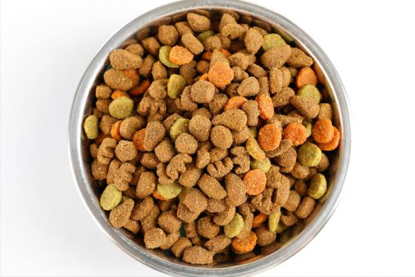 如何消滅狗狗的跳蚤?老祖宗流傳下來的“偏方”,效果很好 如何消滅狗狗的跳蚤?老祖宗流傳下來的“偏方”,效果很好