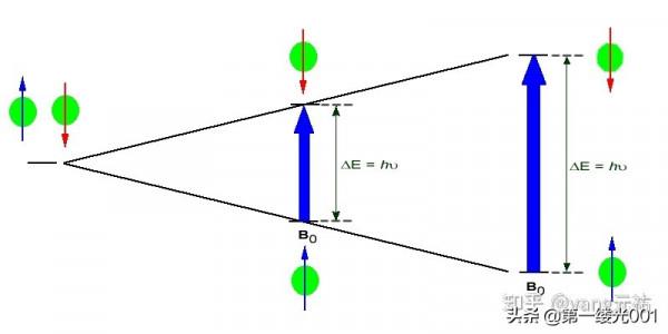 核磁共振波譜儀的工作原理