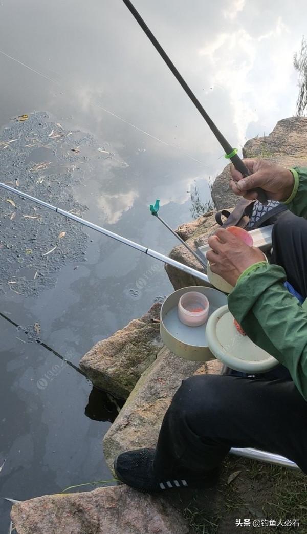 向高齡釣友請教的“搖三搖”釣法，毫無保留的分享給大家