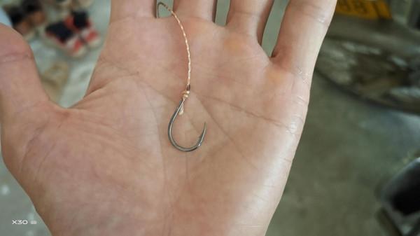 吃一口就中毒？釣到這種魚千萬別亂吃，它是淡水“毒王”