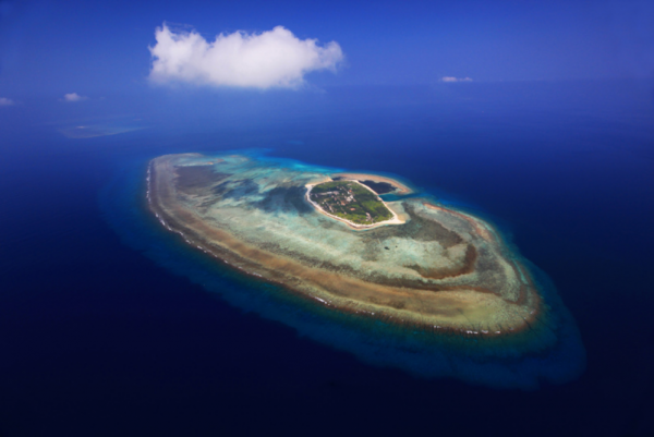 南海艦隊截獲一封情報，周恩來看後深吸一口氣，連忙給葉帥打電話