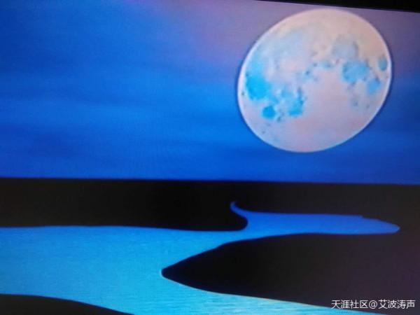 三行垂釣詩：三首秀肌肉 分開是高手