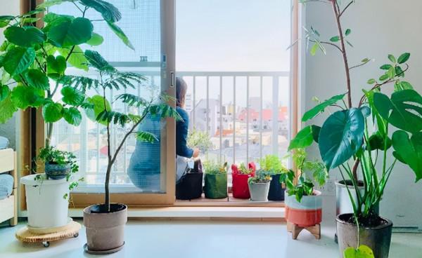 35㎡老破小爆改神作！裝下兩個書房、植物園、三分離衛生間