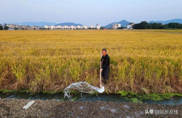 霸屏預警！美！滴！很