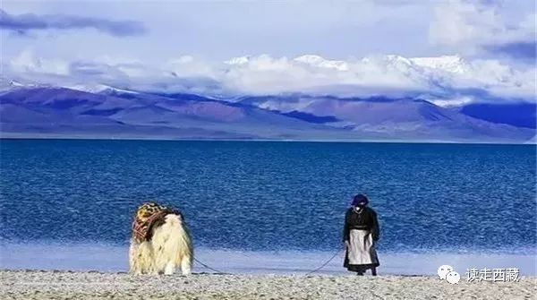 「走西藏」——瑪旁雍措，可與天堂媲美