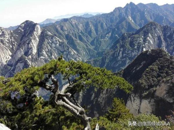 大清奇案錄:兒子無故失蹤,老父狀告兒媳,按察使重審,破解謎題 大清奇案錄:兒子無故失蹤,老父狀告兒媳,按察使重審,破解謎題