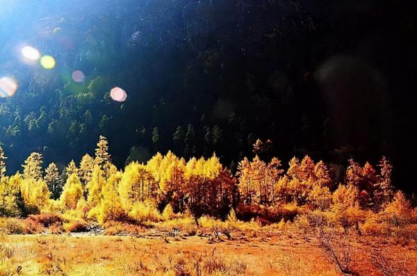 11月，國內這9個絕美山水之地，美成了一幅畫！隨手一拍都是桌布