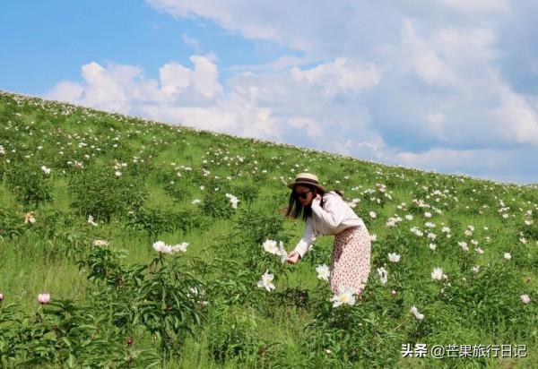 內蒙呼倫貝爾自由行，倆女生7天花費3200元，看看一路吃喝明細