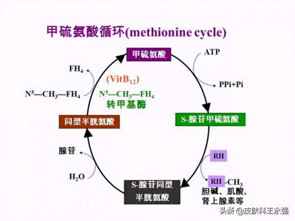 中國腦梗發病率全球第一!都是葉酸吃少了?腦梗與葉酸有什麼關係 中國腦梗發病率全球第一!都是葉酸吃少了?腦梗與葉酸有什麼關係