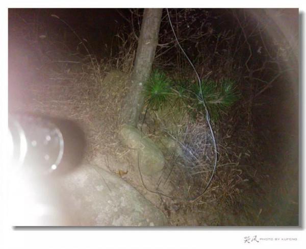 風雨嶗山行(3) 風雨嶗山行(3)