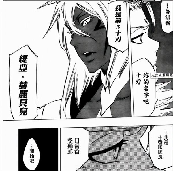 死神：天才少年——十番隊隊長冬獅郎