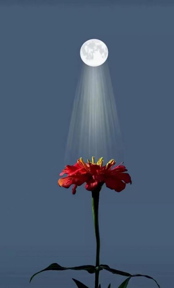 冬夜情愫（流浪的雲朵）