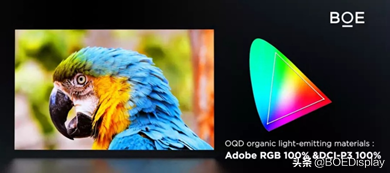 顯示技術品牌之ADS PRO