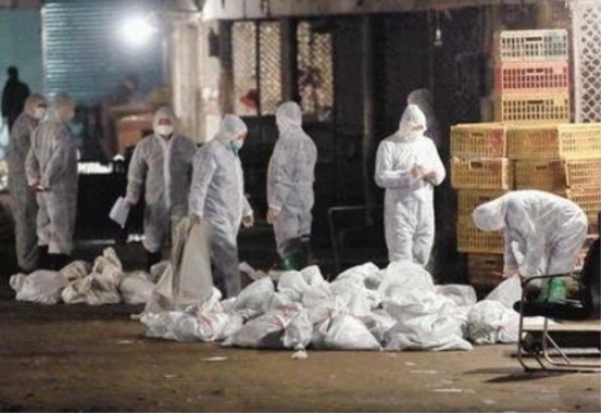 擔心的事發生,又一罕見疾病在美爆發,大批醫護卻選擇辭職保命 擔心的事發生,又一罕見疾病在美爆發,大批醫護卻選擇辭職保命