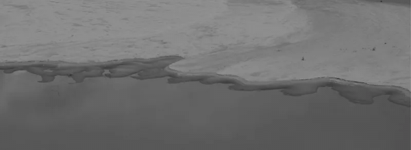 線上看展 | 粵江潮:韓江入海流 線上看展 | 粵江潮:韓江入海流