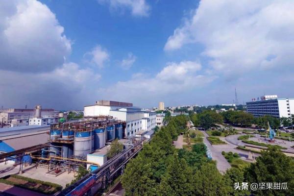 山東，中國鋁產量第一的省份，進口的鋁土礦大部分運到了這裡