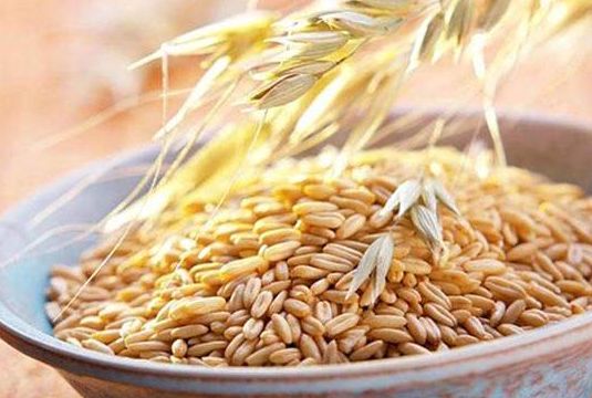 秋天的第一餐美食！趕走乾燥，在家就能做出滋養美味